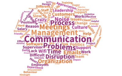 Do you have any idea what drives your employees crazy at work and leads to a decrease in productivity?